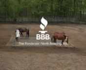 The Ponderaia has been a BBB Member Accredited Business since 2009. The Ponderaia is a horse farm which specializes in the boarding and leasing of horses as well as riding instruction.