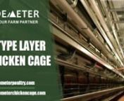 【How to Start Poultry Farming with Layer Chicken Cage Equipment--Chicken Cage Supplier (2022)】n【4 Tier H-Type Layer Chicken Cage Poultry Farm Project】nWith 11 years of experience for layer farms or broiler farms with modern advanced chicken cage equipment, we&#39;ve been offering thousands of solutions to customers all over the world.The most frequently asked question is how to start a poultry farm. Do you have the same question about it? Let&#39;s show you how to start a poultry farm with mod
