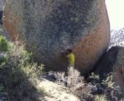 This is the first ascent of Fingerprints on the North Boulder at the Buttermilks.04/06/11