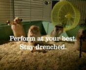 A viral film and TV commercial for mineral-water company Drench. Advertising agency, CHI &amp; Partners used a talented group of jazz-playing hamsters to demonstrate the benefits of hydration.nnThe Clever Hamsters comprise Miles, Dizzy, Fats and The Duke, who auditioned for parts in the band and commercial.nnProduction company: Infinity ProductionsnCamera: Olivia Chenevix-Trench