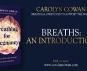 We move to the breaths. I hope you enjoy them and find some favourites. nnIn this videos I introduce you to the pregnancy breath practices and flag information helpful to know before we dive in. nnBest enjoyed alongside the book, get a copy of it here: nnhttps://amzn.eu/d/9fPpfw1 nnPlease note that by taking part in this series, you agree to my terms and conditions and have noted the medical disclaimer, which is copied below.nnI very much hope that you find the book, and these videos, a sour