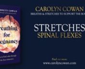 In this video we practice a wonderful, gentle, stretching practice named Spinal Flexes. nnIllustrated and described in more detail in the book, you can get a copy of it here: nnhttps://amzn.eu/d/9fPpfw1 nnPlease note that by taking part in this series, you agree to my terms and conditions and have noted the medical disclaimer, which is copied below.nnI very much hope that you find the book, and these videos, a source of comfort and support during your pregnancy and postnatal period. nnIf you