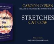 In this video we practice Cat Cow. A familiar yoga practice, for many, its benefits in pregnancy are enormous and there are many ways we can play with it.nnIllustrated and described in more detail in the book, you can get a copy of it here: nnhttps://amzn.eu/d/9fPpfw1 nnPlease note that by taking part in this series, you agree to my terms and conditions and have noted the medical disclaimer, which is copied below.nnI very much hope that you find the book, and these videos, a source of comfor