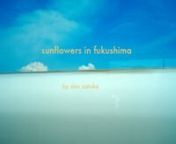Sunflowers in Fukushima from caritas
