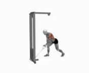 cable-one-arm-bent-over-row-fitness-exercise-worko-2023-02-26-13-07-54-utc from worko