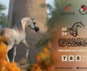 Ajman Arabian Horse Show 2024 from arabian
