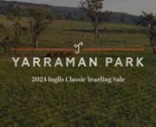 2024 Yarraman ClassicnnnPublished with https://www.frame.io