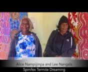 Features Alice Nampijinpa Michaels and Lee Nangala WaynenDownloads available on request fiona@fionawalshecology.comnAccompanies article in Nature Ecology &amp; Evolutionn&#39;First Peoples&#39; knowledge leads scientists to reveal &#39;fairy circles&#39; and termite linyji are linked in Australia&#39;nhttps://www.nature.com/articles/s41559-023-01994-1nRecorded at Australian Wildlife Conservancy Newhaven Sanctuary, Northern TerritorynPhotos included by: Josef Schofield, Matilda Nelson, Katrin Doedrer and Fiona Walsh