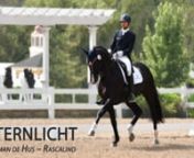 Sternlicht epitomizes the modern sport horse with his beautiful type, movement, and confident character. His impressive show record includes placing 3rd at the USEF FEI Six-Year-Old Championships, multiple USDF Regional Championship &amp; All-Breeds titles, winning the USDF Dressage Finals an impressive three times to date.In 2021, Sternlicht successfully made his Grand Prix debut.nnSternlicht’s sire, Soliman de Hus, was Champion of his licensing and Performance Test, and also competed to Gr
