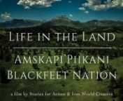 The Amskapi Piikani [People of the Blackfeet Nation] have interacted with every element of this landscape, across much of what is today known as Montana, since time immemorial. In this specific area of Northwest Montana, home to the Blackfeet Nation, stands the mountains which Piikani refer to as the