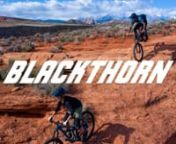 Blackthorn is our 29er all-mountain bike. It’s a well-balanced machine built for riding rugged descents, technical climbs, and everything in between with confidence. It hits a sweet spot in the 29