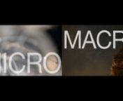 &#39;MICRO/MACRO&#39; is a collaborative video projection installation made in conjunction with the visual performance collective