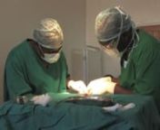 Snipped: Male Circumcision and the Prevention of AIDS in Africa is a short-length documentary exploring the use of male circumcision as an HIV intervention in eastern and southern Africa.
