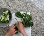Step 02 - Dry and trim bok choy from choy