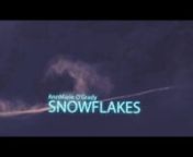 Music video for Snowflakes Song.n______________________________________nWebsite: https://www.magictime.studion-------------------------------------------------------------n►Klient: AnnMarie O&#39;Gradyn►Koncepcja Remigiusz Józefowiczn►Montaż: Remigiusz Józefowiczn-------------------------------------------------------------n★Social Media★nFacebook: ►► https://www.facebook.com/magictimestudio/nInstagram: ►► https://www.instagram.com/magictimestudio/n______________________________