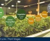 This 35-minute webinar by IMEG Project Executive Luke Streit and IMEG Director of Innovation Mike Lawless examines critical design considerations for indoor growth facilities. The presentation focuses on cannabis, but most of the information is applicable to other plants and crops grown in CEA facilities. Topics include grow cycle design strategies to support a quality crop, water and energy usage, HVAC systems and air distribution, power requirements, and other unique challenges CEA owners enco