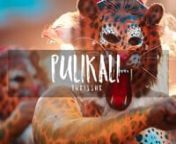 Folk art &#124; PULIKALI (പുലികളി) n.n.nCinematography &amp; Postproduction:Shobin ABn.nPulikali, also known as Kaduvaakali, is a folk art form of Kerala in which artists paint themselves with tiger stripes of yellow, red and black, and dance to the rhythm of traditional percussion instruments such as thakil, udukku and chenda. The main theme of the dance is tiger hunting, and its origins are attributed to Muslims soldiers. Though the dance is performed all over Kerala during Onam, it
