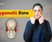 Official sqadia.com Website: ✦ https://www.sqadia.com/catalogn✦ 5500+ Medical Videosnn☛DESCRIPTIONnZygoma, malar bone, cheekbone, and yoke bone, are a few names that help us identify the zygomatic bone. Watch this zygomatic bone cranial osteology anatomy lecture for medical students to learn about this dynamic bone that shapes our face.nnWith a special appearance from our mascot Max, get fully equipped for your exam by watching this sqadia.com lecture on zygomatic bone anatomy. Fun mnemo