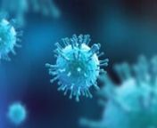 Die Produktion geht zunächst allgemein auf den Bau und die Vermehrung von Viren ein. Anschließend werden die Besonderheiten der Coronaviren vorgestellt. Meist lösen diese beim Menschen nur harmlose Erkältungskrankheiten aus. Bereits 2002/03 verursachte aber ein Coronavirus (SARS-CoV) eine Pandemie, die jedoch relativ glimpflich verlief. Auch das MERS-Coronavirus, das seit 2012 immer wieder auftritt, hatte bislang überschaubare Folgen. Anders war es bei SARS-CoV-2 ab 2019, das zwar weniger t