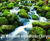 #birdsounds #relax, #sunskyrainmoon, #study #sleep #healingwithnature #asmrnn⚠️ Special Offer: Get an Abundance Mentality Mindset:https://bit.ly/3n5XSqW (limited time offer)nn� What are the benefits of listening to nature sounds?nNew data finds that even listening to recordings of nature can boost mood, decrease stress, and even lessen pain. According to new data, listening to birdsong helped decrease stress.nWe have known it for centuries. The sounds of the forest, the scent of the tree