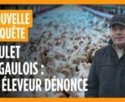 -&#62; Voir l&#39;enquête et signer la pétition : https://www.L214.com/animaux-2022-pouletsnFrancis Guilloteau, éleveur de volailles, dénonce les pratiques du groupe LDC et l’illusion de qualité des produits Le Gaulois “made in France” : « Le poulet Le Gaulois ? Quand je vais au supermarché, je regarde, mais je passe mon chemin. Sachant comment il est élevé... ».nnL’élevage de poulets de Francis Guilloteau est vide depuis trois ans. Il explique qu’il a souhaité diminuer la densité