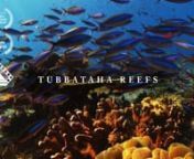 Discover the coral heart of the Philippines and the crown jewel of Philippine diving, the Tubbataha Reefs Natural Park, in this short documentary. Around 700 species of fish and 360 coral species—about half of all known species—can be found here. A UNESCO World Heritage Site, this expanse of reef flats and walls of coral spans over a hundred thousand hectares and is one of the most productive and biodiverse coral reefs in the world.nnOFFICIAL SELLECTIONSnSan Pedro International Film Festival