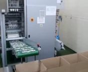 THIS VIDEO SHOWS:nnOmag model C3-5 (5-lane) vertical continuous motion 4-side seal sachet machine running Free Flow Granular Powders.nnnSPEEDS - Sachets shown are 64mm length and machine is running at 130 cycles/min with a total output of 450 Sachets/Min only on 5-lanes.nnMachine equipped with volumetric dosing system for non-free flow powdery granular products. nnnSachets are being auto bulk packed into cases with an automated count and case handling system.nnnSeveral different grades of cons