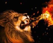 MBA_RM_LionFire_V1-6.mp4 from lion v