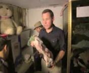 Jeff Corwin joins Wildlife Alliance and the Wildlife Rapid Rescue Team (WRRT) on an undercover raid of a restaurant serving illegal wildlife