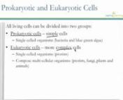 After this lesson you will be able to compare and contrast prokaryotic and eukaryotic cells.