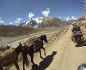 A couple of clips from this summer riding across the Indian Himalayas on Royal Enfields.We reached both the Tibetan and Pakistani borders covering over 5000km and riding over some of the highest roads in the world.nnPhotos - http://www.flickr.com/photos/archieleeming/sets/72157627584085918/with/6109539036/nnGoogle map route (North of Delhi section) - http://www.google.com/maps/ms?msid=206319955886661300842.0004ac0b68b12511b6783&amp;msa=0&amp;ll=20.13847%2C78.134766&amp;spn=41.505049%2C56.51367