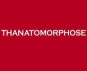 WWW.THANATOMORPHOSEFILM.COMnnThanatomorphose is a french word meaning the visible signs of an organism’s decomposition caused by death. The synopsis goes as follow: One day, a young and beautiful girl a wakes up and finds her flesh rotting… nnThanatomorphose stars Kayden Rose, Davyd Tousignant, Émile Beaudry, Karine Picard, Roch-Denis Gagnon, Éryka L. Cantieri, Pat Lemaire and Simon Laperrière.nnWritten and directed by Éric Falardeau.nnTo be released in 2012.