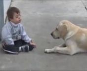 dog and boy with down syndrome from boy