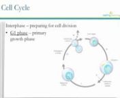 After this lesson you will be able to describe the stages of the cell cycle including DNA replication and mitosis. You will also be able to describe the importance of the cell cycle to the growth of organisms.