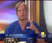 Dr. Kim Hammond from Falls Road Animal Hospital in Baltimore, MD give cat owners tips on how to keep cats from climbing on furniture. Plus, Dr. Hammond gives an important warning on