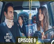 Oyku (Beren Gokyildiz) is an 8-year-old girl who has a very clear perception and is very smart, unlike her peers. When her aunt, with whom she has lived since birth, leaves her, she has to find her father Demir, whom she has never seen before. Demir (Bugra Gulsoy), a fraudster who grew up in an orphanage, is arrested on the day that Oyku comes to find him. Demir is released by the court on condition that he takes care of his daughter, but Demir does not want to live with Oyku. While Demir and his partner Ugur (Tugay Mercan) are trying to get rid of Oyku, they are planning to make a big hit. Candan (Leyla Lydia Tugutlu), who is the target of this great hit, hides the great pains of the past in her calm life. None of these people whom life will bring together with all these coincidences know that Oyku is hiding a great secret.&#60;br/&#62;&#60;br/&#62;CAST: Bugra Gulsoy, Leyla Lydia Tugutlu, Beren Gokyildiz, Serhat Teoman, Tugay Mercan, Sinem Unsal, Suna Selen.&#60;br/&#62;&#60;br/&#62;CREDITS&#60;br/&#62;PRODUCTION COMPANY: MED Yapim&#60;br/&#62;PRODUCER: Fatih Aksoy&#60;br/&#62;DIRECTOR: Gokcen Usta