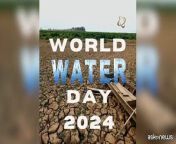 Acqua per la Pace: World Water Day 2024 from splash water sound