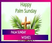 Palm Sunday, observed on March 24, 2024, holds great significance for Christians worldwide, marking the start of the most holy week. Join in the celebration by sharing heartfelt Palm Sunday Bible verses, messages, quotes, wallpapers, images, greetings, and wishes with your loved ones via Facebook or WhatsApp.
