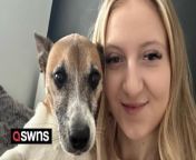 A dog owner claims her pet pooch can say her name - and she has the footage to prove it.&#60;br/&#62;&#60;br/&#62;Ellie Chapman, 20, was left delighted by the &#92;