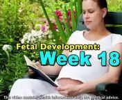 In week 18, you better get talking?or singing?to your belly! After all, fetal development has progressed to the point where your baby can likely hear you through the womb. http://Pregnancy.Healthguru.com/?YT