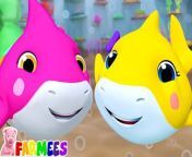 Baby Shark Doo Doo Doo by Farmees is a nursery rhymes channel for kindergarten children.These kids songs are great for learning alphabets, numbers, shapes, colors and lot more. We are a one stop shop for your children to learn nursery rhymes. &#60;br/&#62;.&#60;br/&#62;.&#60;br/&#62;.&#60;br/&#62;.&#60;br/&#62;.&#60;br/&#62;.&#60;br/&#62;.&#60;br/&#62;#babyshark #toddler #farmees #babysongs #kidsmusic #childrensongs #kindergarten #singalong #funlearning #kidsentertainment #childrenschannel #toddlerlife #familyfun #learningisfun #educationaltoys #parentinghacks #childhoodunplugged #kidfriendly #learningathome #creativekids #parenthood #playtime #kidsactivities