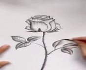The image is a black and white sketch that captures the delicate beauty of nature. It features a detailed drawing of a rose with leaves attached to its stem. A butterfly with intricately dotted wings is depicted near the bloom, adding a touch of elegance to the composition. The background is plain, with small scattered dots that could represent a subtle texture or pattern.