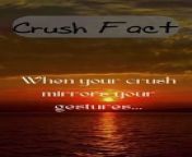 Delve into the intriguing world of crushes with this video! Uncover the psychological and biological aspects that make crushes such a fascinating phenomenon. From the rush of emotions to the brain chemistry involved, we unravel the mysteries behind why we develop crushes and their impact on our lives. Join us on this captivating journey through crush facts and insights.