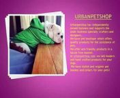 &#60;br/&#62;The Urban Pet-shop is the online shopping store for the dog lovers to buy any type of products, Unique, organic and affordable Dog toys such as Boogey, dino dinosaur, other soft plush toys are the best items. http://www.urbanpetshop.com/