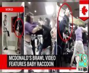Video of a massive brawl inside a McDonald’s has resurfaced online after someone caught a glimpse of a baby raccoon being taken out during the scrap.