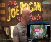 Episode 2132 Andrew Schulz- The Joe Rogan Experience Video - Episode latest update