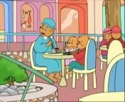 The Berenstain Bears_ The Giant Mall _ The Giddy Grandma from mall net