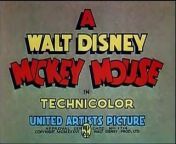 The Mirror (1936) Mickey Mouse DisneyToon from the pups picnic 1936