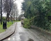Large branch blocks Tromode Road from gui ulster branch