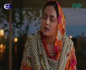 Akhara Episode 25 Feroze Khan Digitally Powered By Master Paints [ Eng CC ] Green TV from dhaka green lif
